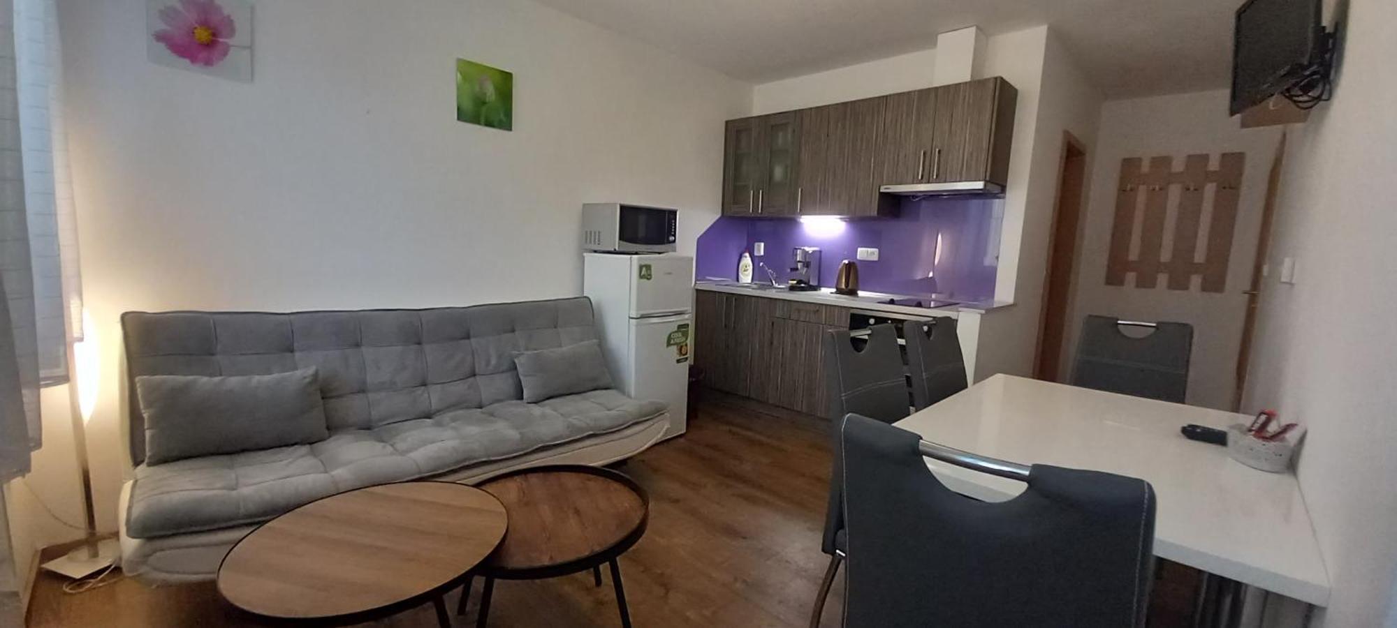 U Namesti Apartment Susice